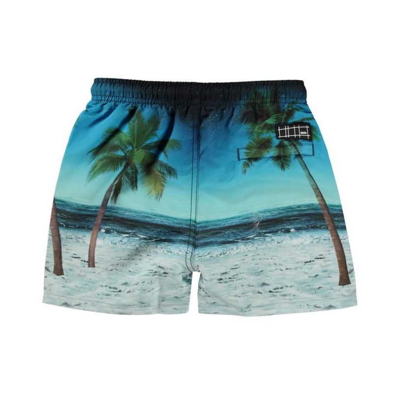 Molo Niko Zwemshorts Sunset Surfer | NL0001121