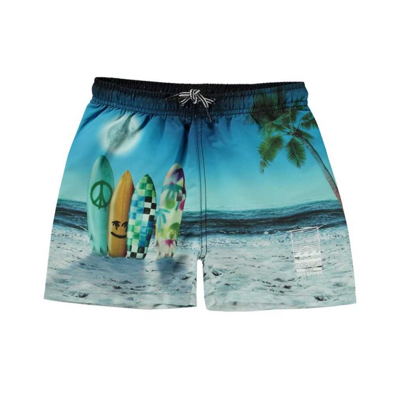 Molo Niko Zwemshorts Sunset Surfer | NL0001121