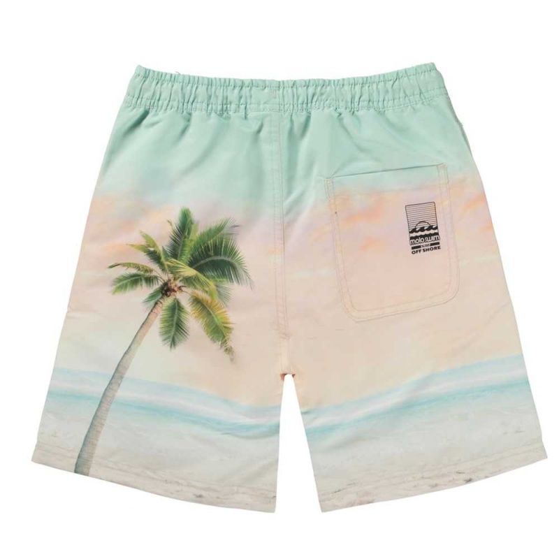 Molo Nilson Zwemshorts Sunrise Surfer | NL0001123