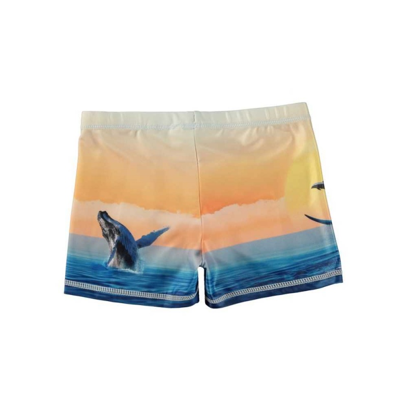 Molo Norton Placed Zwemshorts Ocean Smile | NL0001144