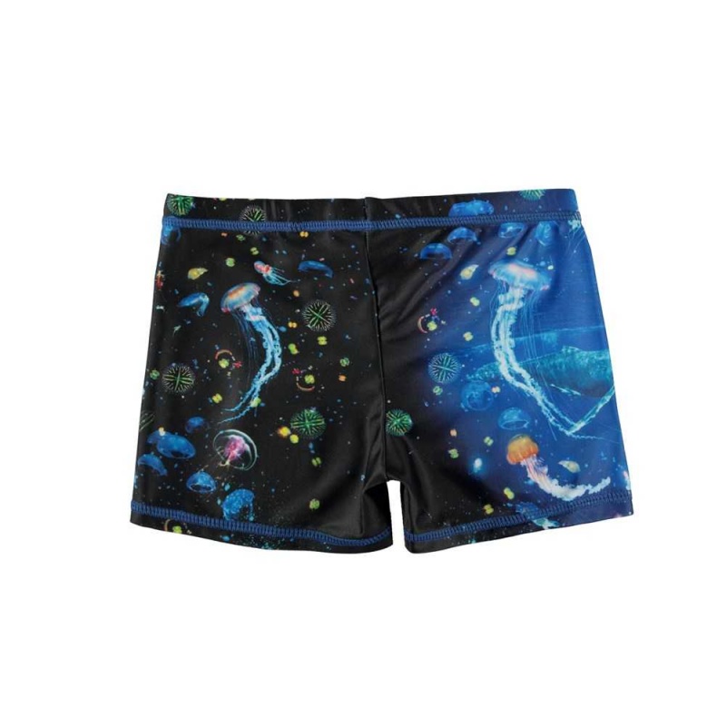 Molo Norton Placed Zwemshorts Plankton | NL0001151