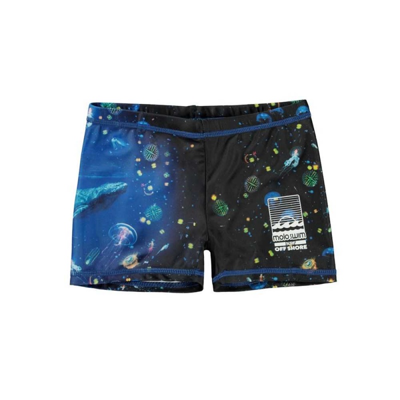 Molo Norton Placed Zwemshorts Plankton | NL0001151