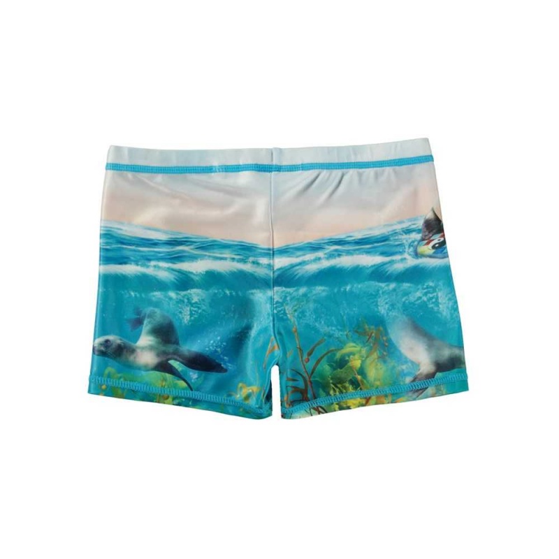 Molo Norton Placed Zwemshorts Sealion | NL0001114