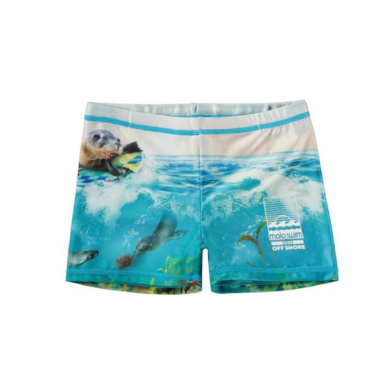 Molo Norton Placed Zwemshorts Sealion | NL0001114