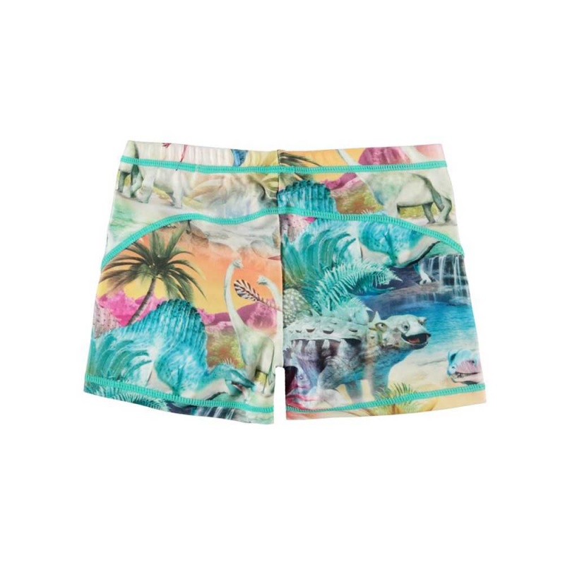 Molo Norton Zwemshorts Dino Paradis | NL0001133