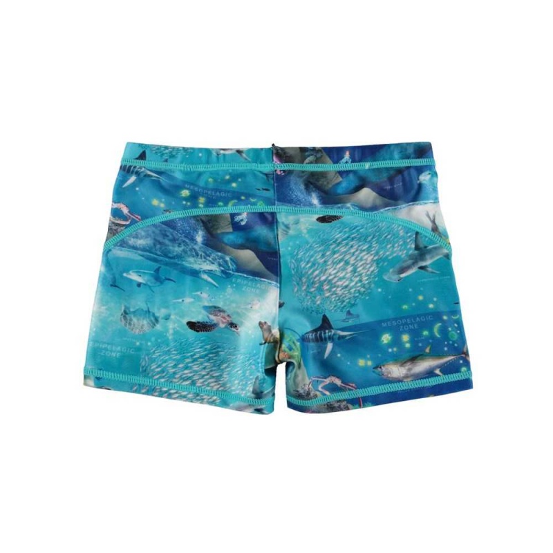 Molo Norton Zwemshorts Ocean Zones | NL0001136