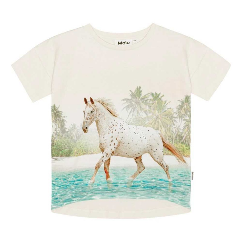 Molo Raeesa T Shirts Tops Meisje Horse On Beach | NL0000523