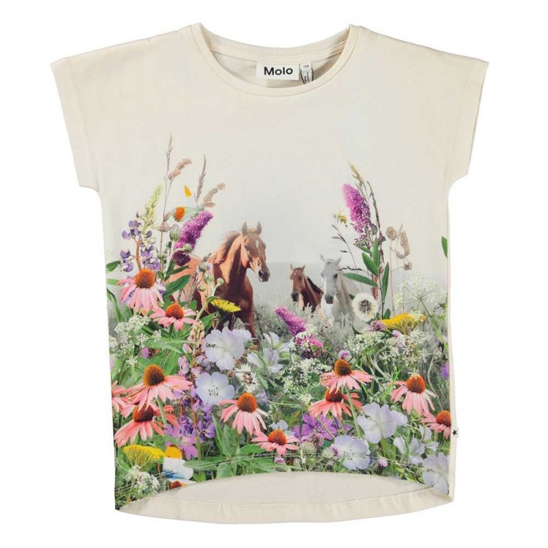 Molo Ragnhilde T Shirts Tops Meisje Wild Horses | NL0000199