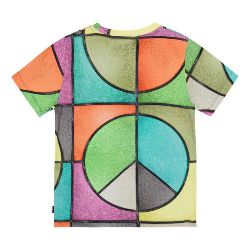 Molo Ralphie T Shirts Tops Jongen Basket Colour | NL0000779