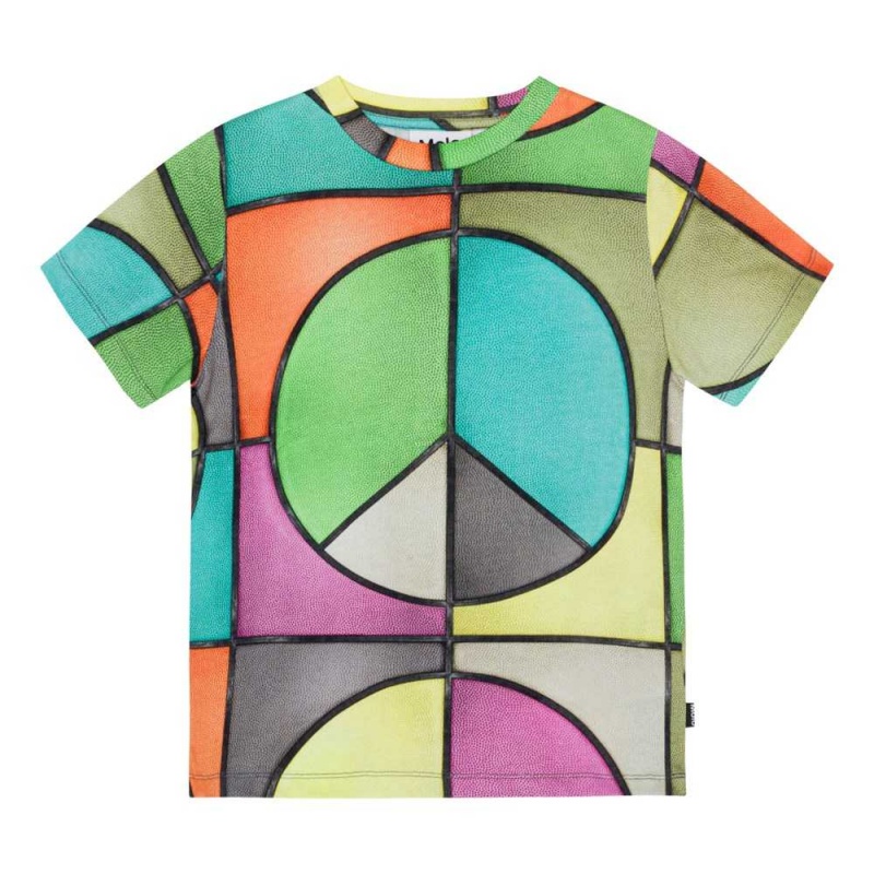 Molo Ralphie T Shirts Tops Jongen Basket Colour | NL0000779