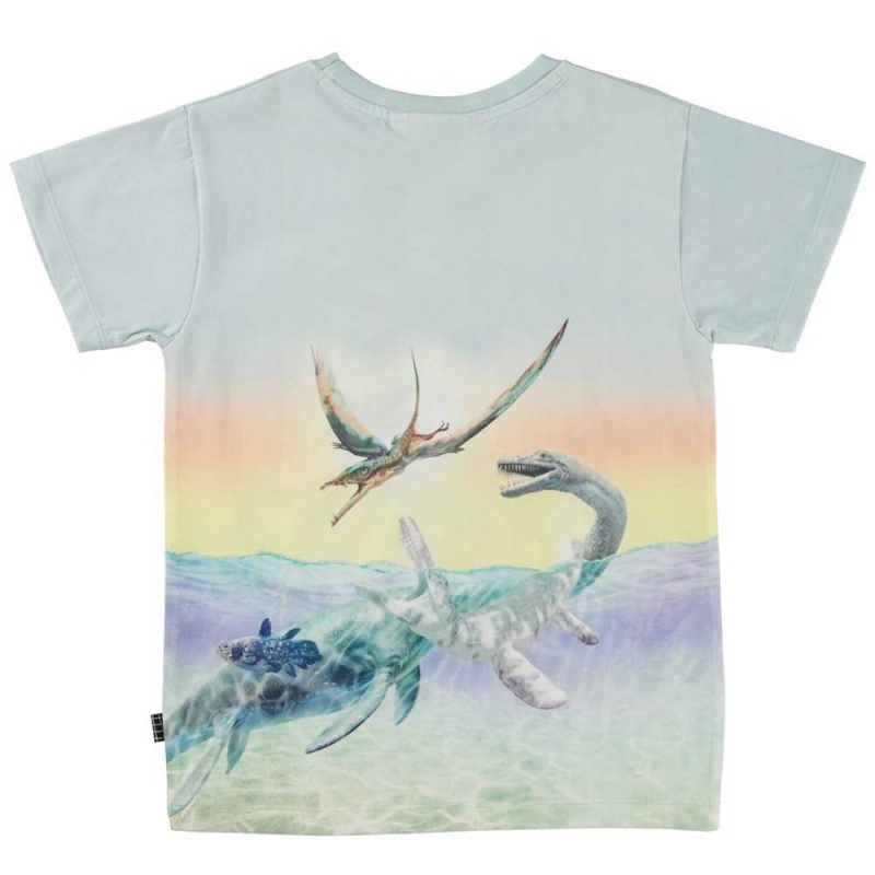 Molo Raul T Shirts Tops Jongen Ancient Island | NL0000630