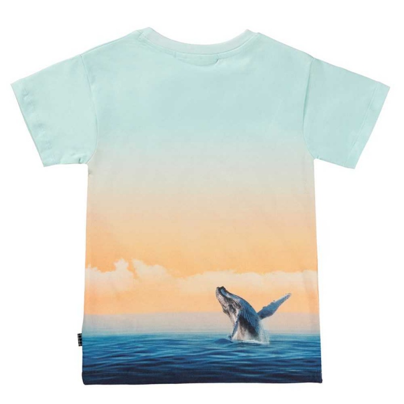 Molo Raul T Shirts Tops Jongen Ocean Smile | NL0000631