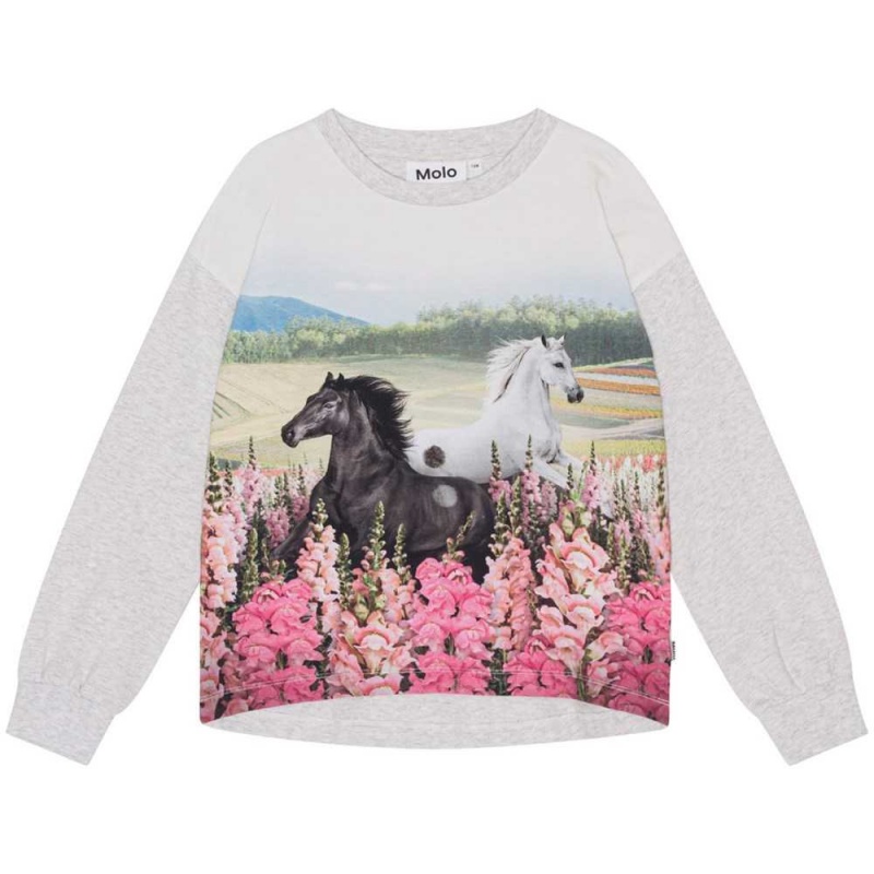 Molo Reniza T Shirts Tops Meisje Meadow Horses | NL0000573