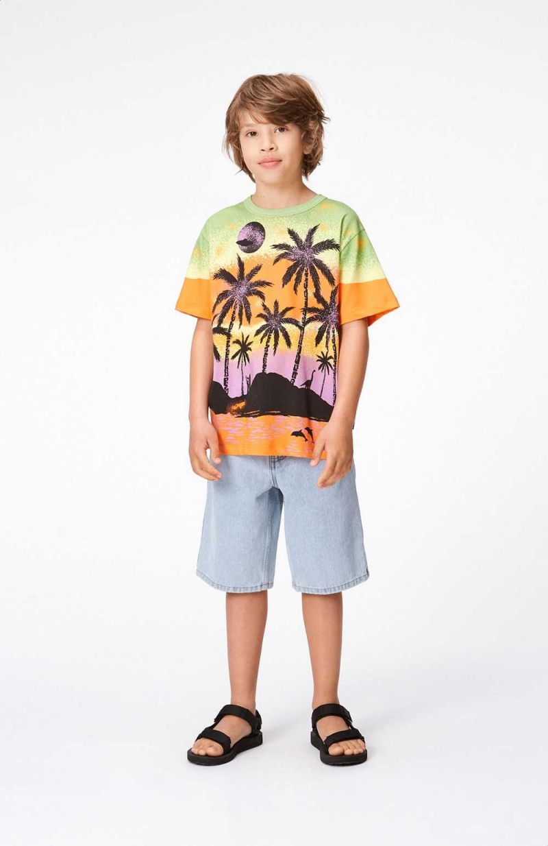 Molo Riley T Shirts Tops Jongen Alien Island | NL0000773