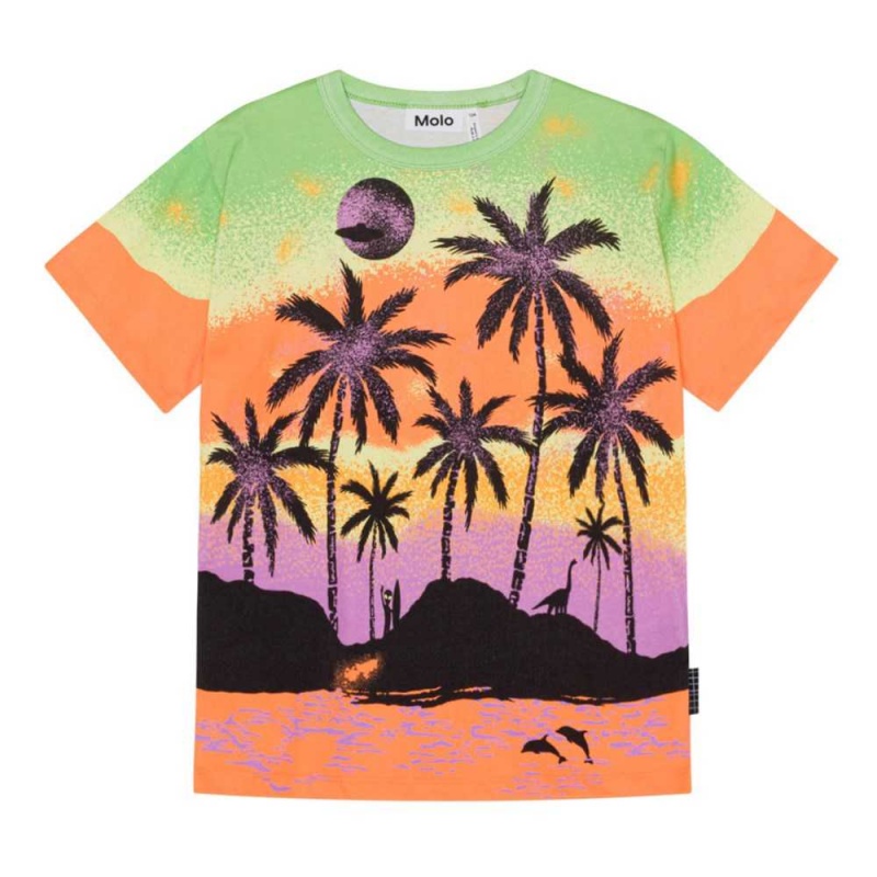 Molo Riley T Shirts Tops Jongen Alien Island | NL0000773