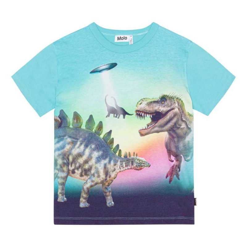 Molo Riley T Shirts Tops Jongen Beaming Dinos | NL0000829