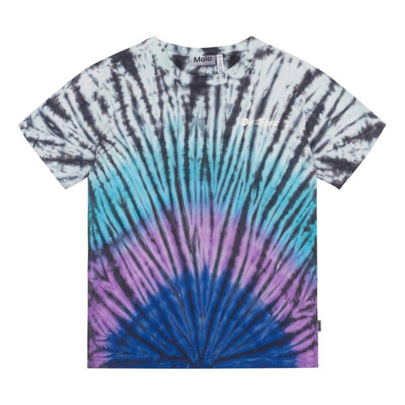 Molo Riley T Shirts Tops Jongen Lit Dye | NL0000851