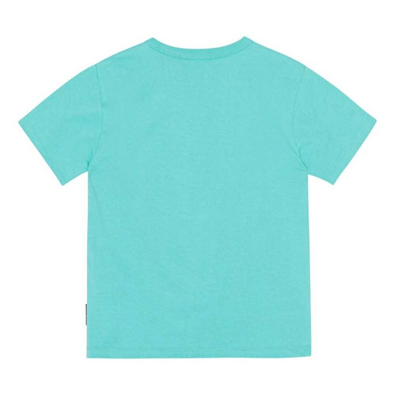 Molo Riley T Shirts Tops Jongen Pacific | NL0000830