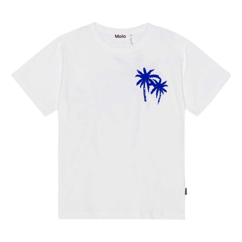 Molo Riley T Shirts Tops Jongen Palmtree Love | NL0000768