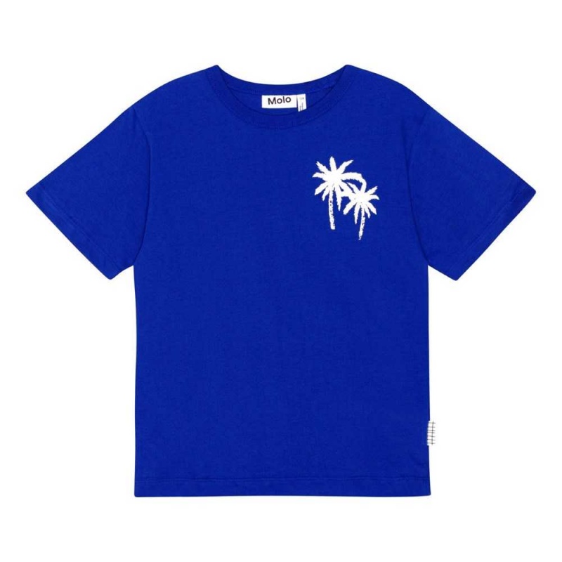 Molo Riley T Shirts Tops Jongen Reef Blue | NL0000770