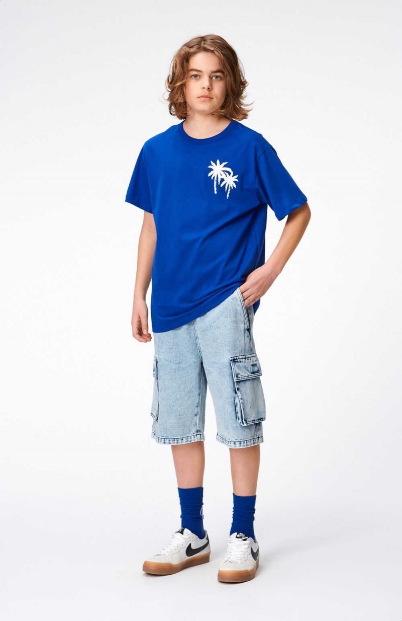 Molo Riley T Shirts Tops Jongen Reef Blue | NL0000770