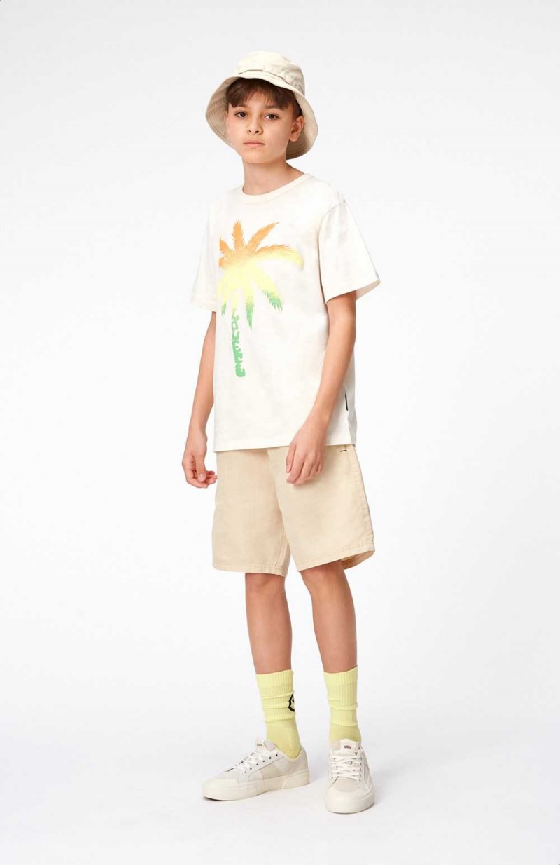 Molo Riley T Shirts Tops Jongen Spray Palm | NL0000769