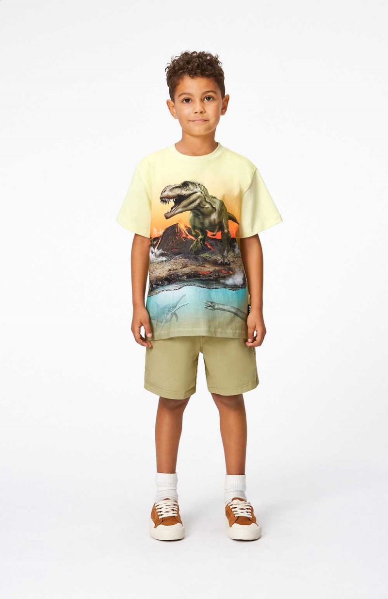 Molo Riley T Shirts Tops Jongen Volcano Dino | NL0000808