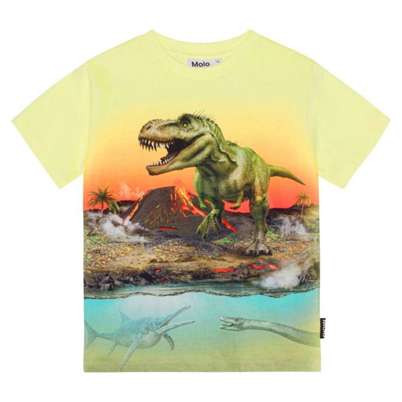 Molo Riley T Shirts Tops Jongen Volcano Dino | NL0000808