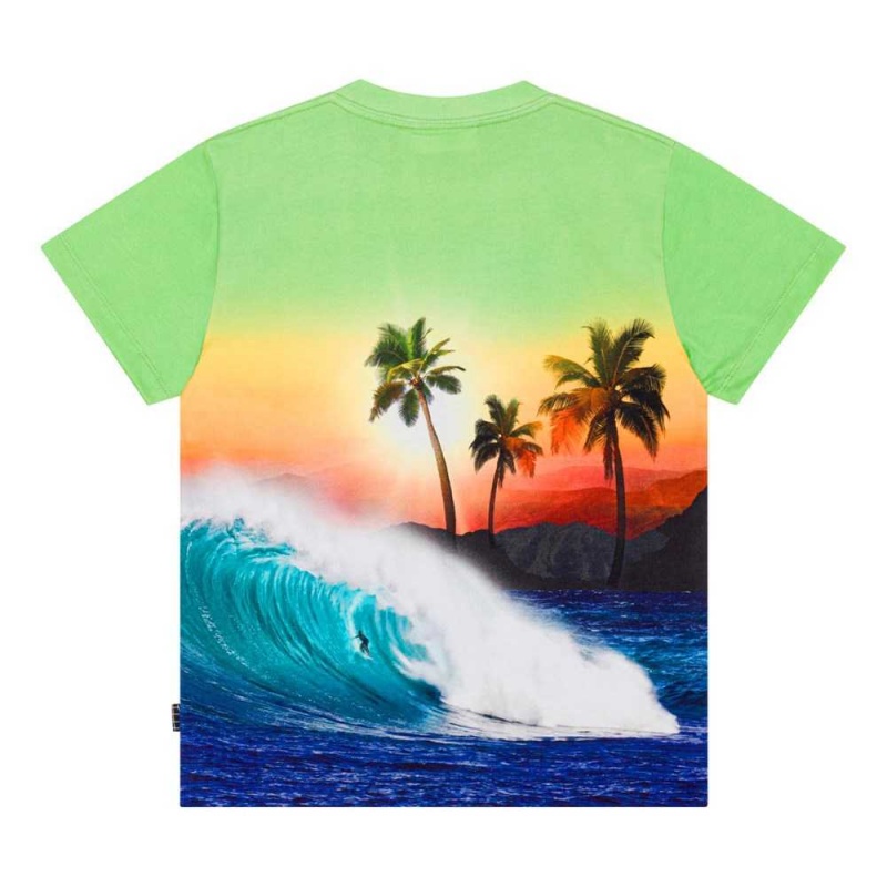 Molo Roxo T Shirts Tops Jongen Green Sunset | NL0000771