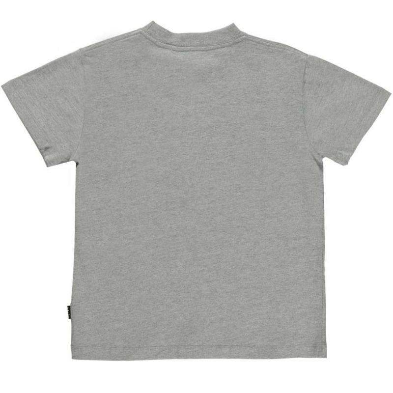 Molo Roxo T Shirts Tops Jongen Grey Melange | NL0000871