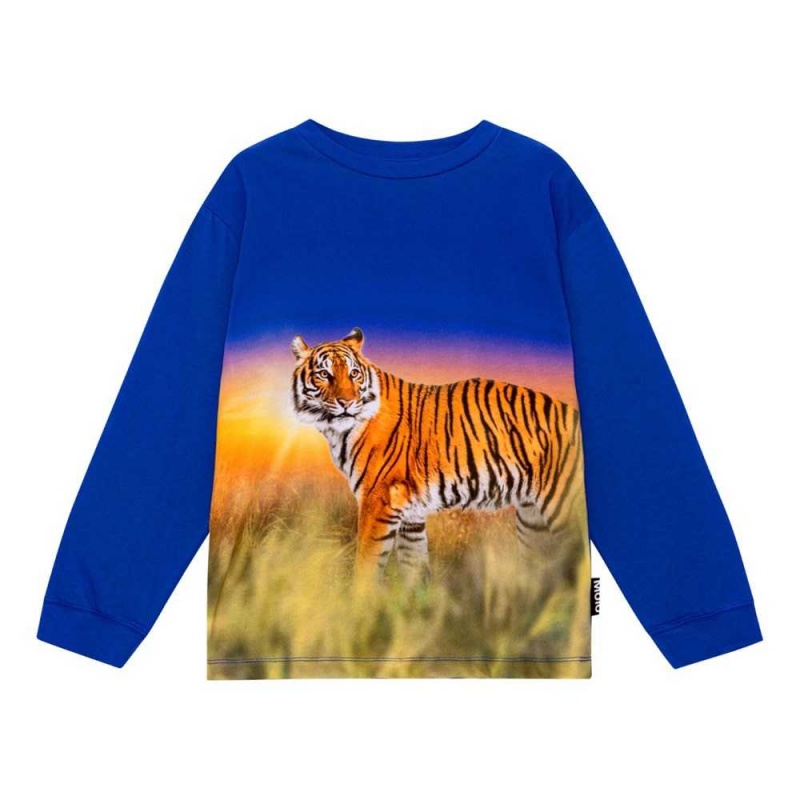 Molo Rube T Shirts Tops Jongen Tiger Reef | NL0000856