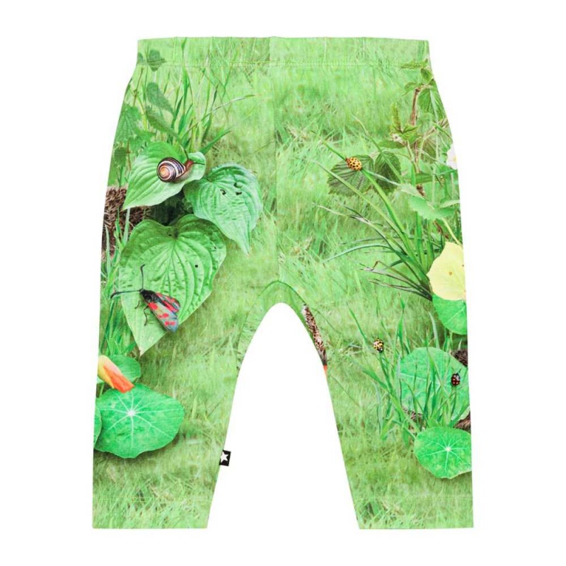 Molo Sabb Pants Jeans Jongen Garden Nature | NL0001344