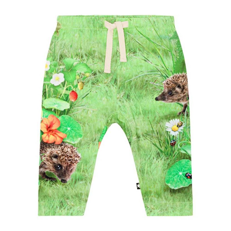 Molo Sabb Pants Jeans Jongen Garden Nature | NL0001344