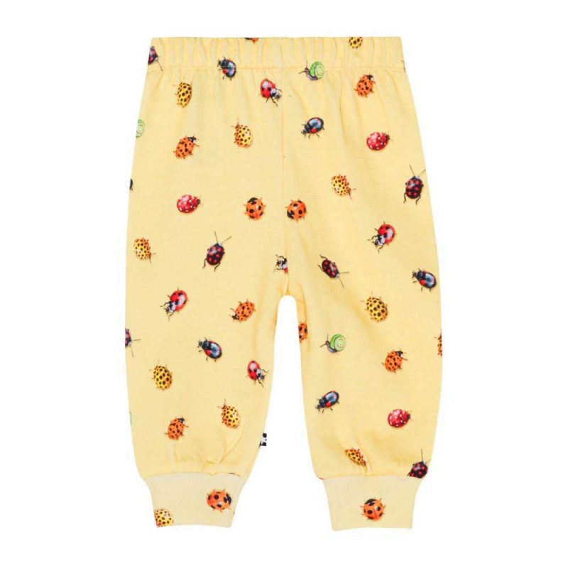 Molo Simeon Pants Jeans Jongen Coccinella | NL0001335