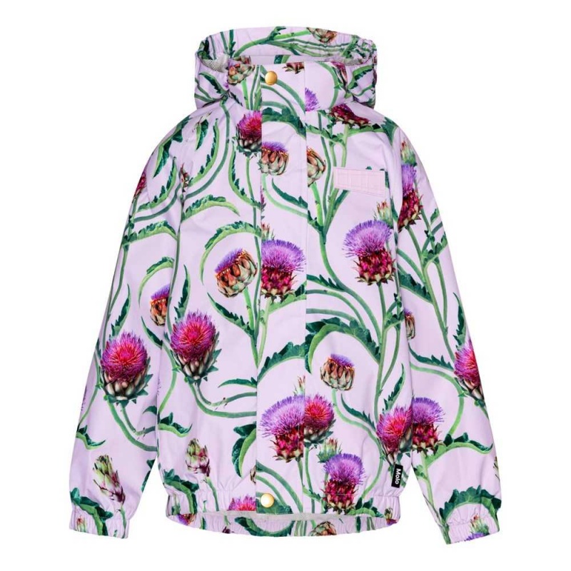 Molo Waiton Regenkleding Artichoke Bloom | NL0000061