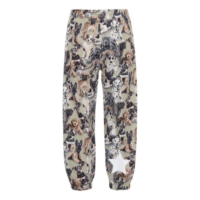 Molo Waits Regenkleding Pups Camo | NL0000096