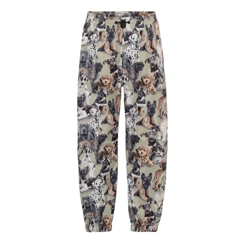 Molo Waits Regenkleding Pups Camo | NL0000096