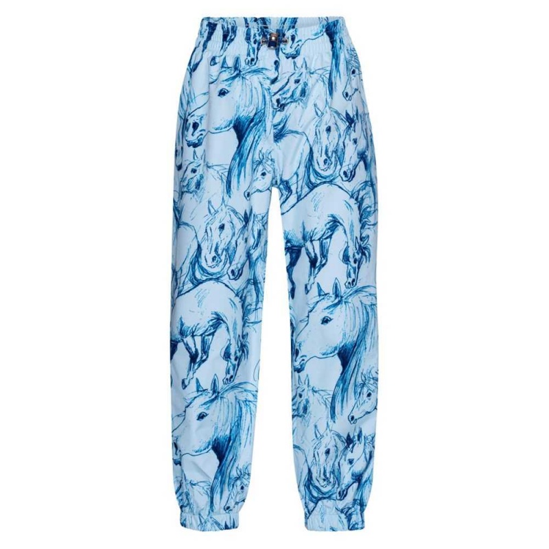 Molo Waits Regenkleding Sky Blue Horses | NL0000068